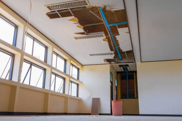 Best Water damage contractors near me  in Forest Park, GA