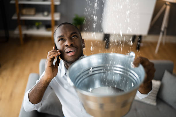 Best Water damage contractors near me  in Forest Park, GA