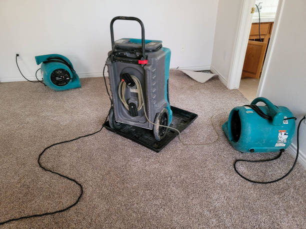 Best Professional water damage repair  in Forest Park, GA