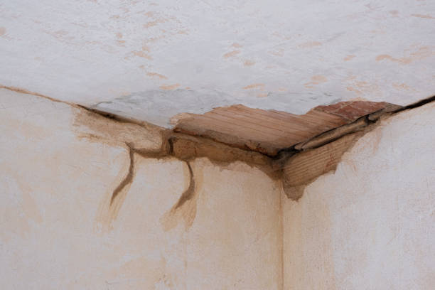 Best Sewage cleanup and water damage restoration  in Forest Park, GA