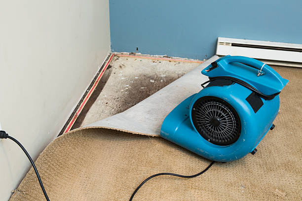 Best Water damage mitigation services  in Forest Park, GA